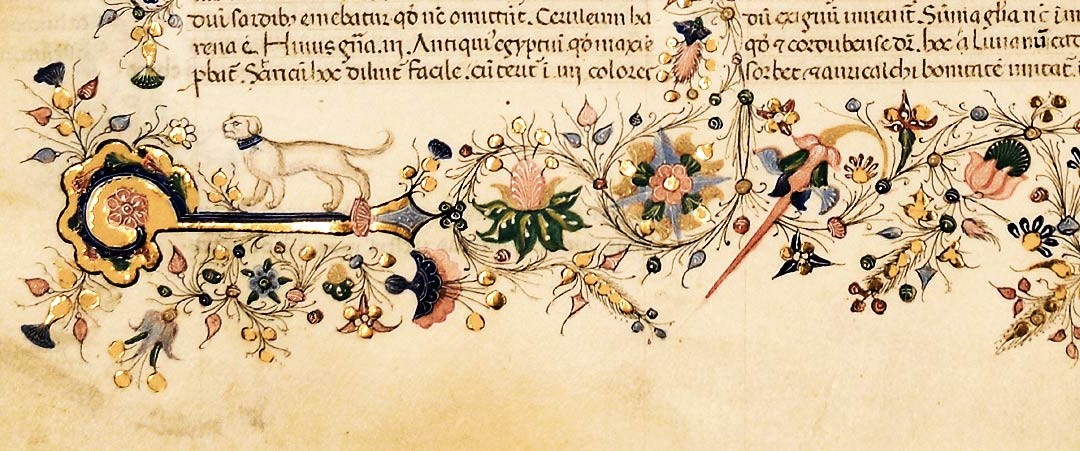 Elisa Lonati – Dal naufragio al Rinascimento: la Naturalis Historia di Plinio attraverso il Medioevo