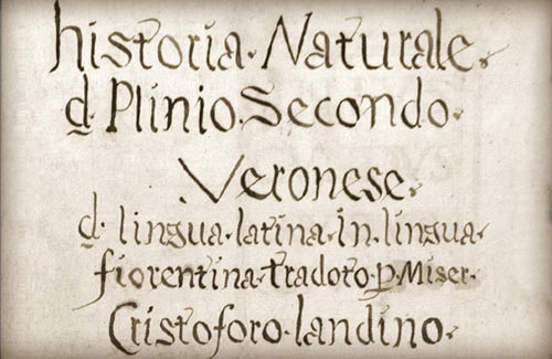 Eliana Carrara – La Naturalis Historia di Plinio nell’Italia del Rinascimento, tra artisti, storici e letterati