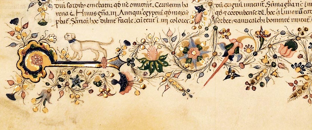OltrePlinio: progetto interdisciplinare sulla Naturalis Historia tra antico e moderno