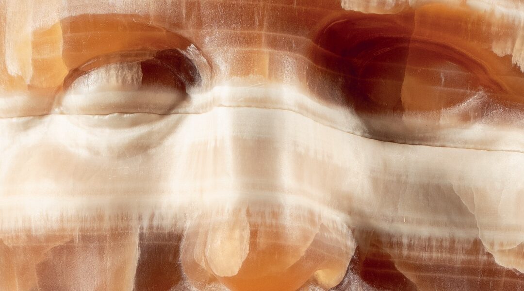 L’arte della natura. Plinio il Vecchio: 2000 anni dopo