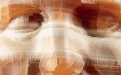 L’arte della natura. Plinio il Vecchio: 2000 anni dopo